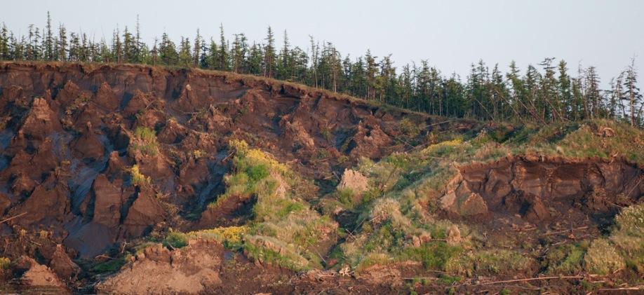 Maar... CO 2 CH 4 - dooi permafrost genereert