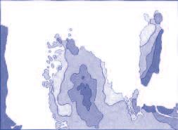 open water 15% bedekking 35% bedekking 60% bedekking 80% bedekking rasvogels (Vulink et al., 2009).