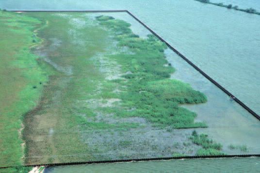 Exclosure experimenten Naar aanleiding van de resultaten uit de veldexperimenten in de Oostvaardersplassen en het Volkerak-Zoommeer rees de vraag of het geobserveerde effect van begrazing ook van