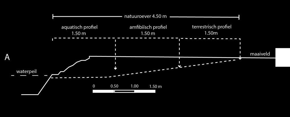 Dit type oever biedt, in combinatie met de iets grotere slootbreedte mogelijkheden voor eendachtige als kuifeend en krakeend (mogelijk slobeend) en kan in het vroege voorjaar door steltlopers als