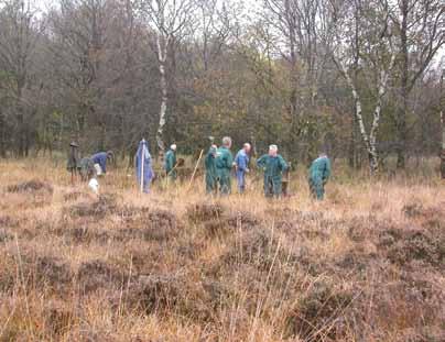 We adviseren organisaties zoals Staatsbosbeheer, Natuurmonumenten en de Landschappen over vlindervriendelijk beheer. Maar soms is dat niet genoeg. Dan steken we ook zelf de handen uit de mouwen!