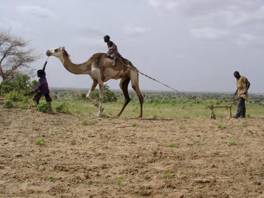 WFP/ Marcus Prior Normaal gesproken kunnen mensen in de Hoorn van