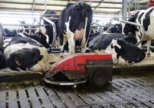 Machines en robots helpen de boer Er zijn veel apparaten en machines die de boer helpen het werk te verlichten; de tractor, de melkmachine,