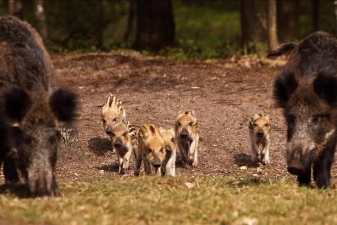 Ik ben sinds enige tijd ook te volgen op Twitter als #YvonnevanderMey Op Facebook ben ik te vinden als Yvonne van der Mey Wildlife Photography NIEUWS - - -NIEUWS - - - NIEUWS - - - NIEUWS