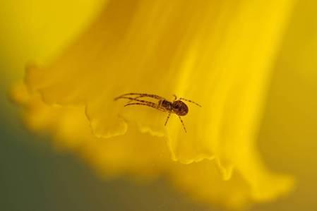 Goed om te weten Korting voor leden van Natuurmonumenten: Leden van Natuurmonumenten krijgen korting op de workshops en cursussen, ook bij workshops op locaties die niet aan Natuurmonumenten