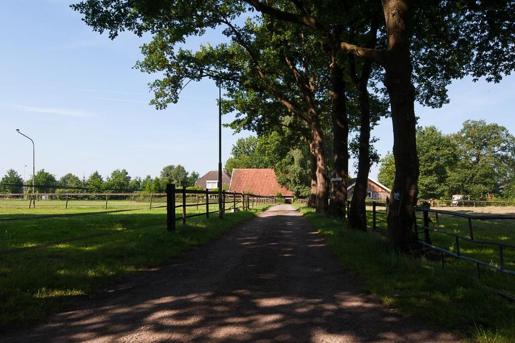 Erfinrichting Het erf is bereikbaar via een inrit vanaf de Hassinkbrinkweg.