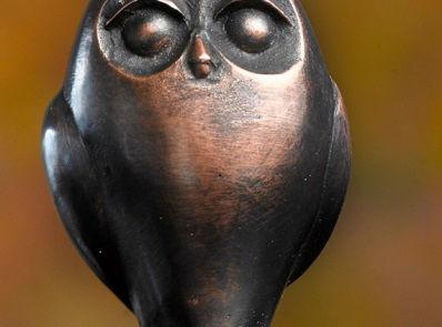 De winnaar krijgt het fraaie bronzen Nestoruiltje, vervaardigd door kunstenaar Frans van Straaten. Wie krijgt dit jaar het uiltje uitgereikt? Dat bepaalt u!