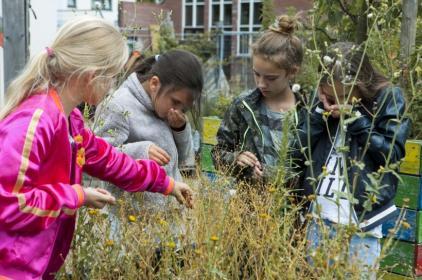 Gelukkig komen steeds meer mensen tot het inzicht hoeveel meerwaarde de natuur heeft in alle opzichten.