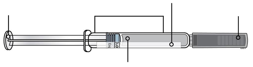 F Inspectie van het geneesmiddel en de injectiespuit.