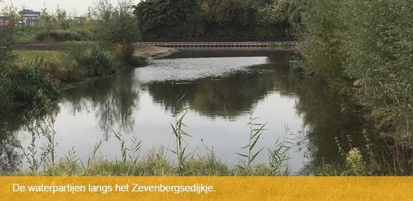 van het bedrijvenpark!" Aan de slag Als eerste gaan de initiatiefnemers aan de slag met het opstellen van een projectvoorstel waarin beschreven wordt wat de BIZ Cornelisland in gaat houden.