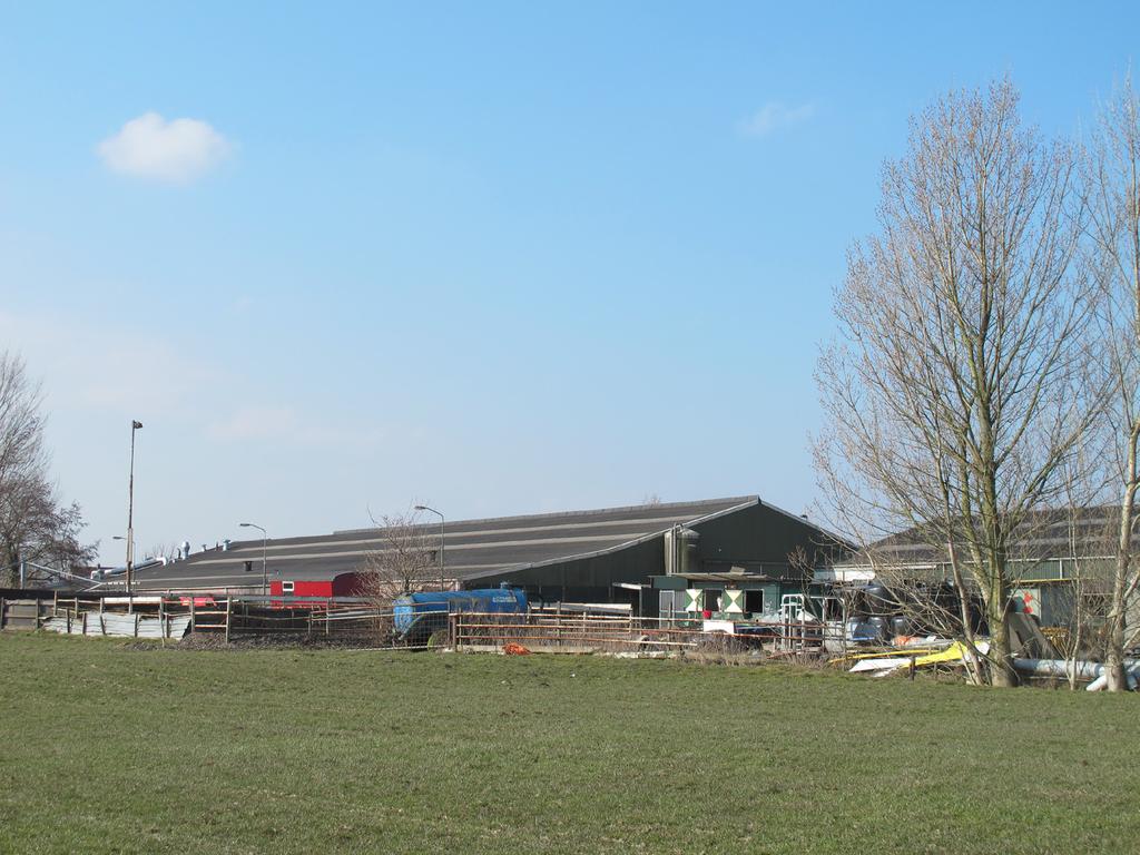 Waarnemingen Tijdens het veldbezoek van 3 april 2013 is onderzocht of er in potentie beschermde planten en dieren aanwezig zijn binnen het plangebied.