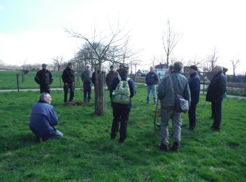 De les ging verder over begrippen als gesteltakken, etages, harttakken, groei in de breedte en in de hoogte, open en luchtig houden, reactiehout, vitaliteit van de boom, dood en ziek hout, takkragen,