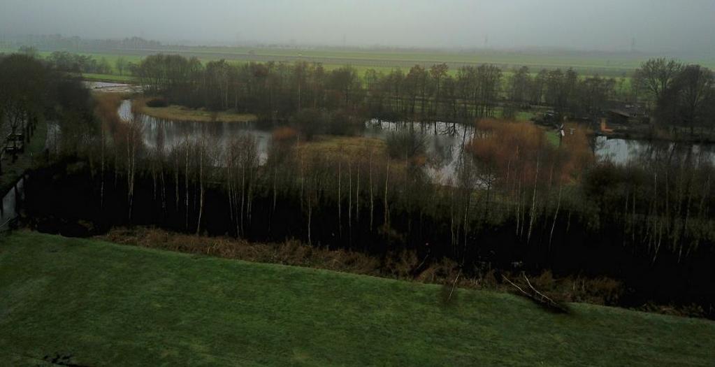 Een kwartet had nog behoorlijk wat werk aan deze bomen en twee andere omgevallen essen. Het gezaagde hout en wat er eerder gezaagd was, werd naar de slootkant gebracht.