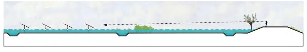 50 meter van de dijk af natuurontwikkeling