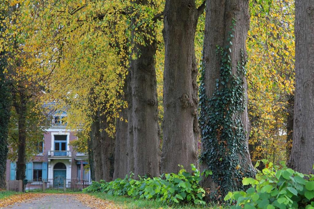 Inrichtingsplan Bij de realisatie van een landgoed of toevoeging van economische dragers aan een bestaand landgoed in de vorm van woonhuizen kan Staring Advies op basis van bodemgesteldheid,