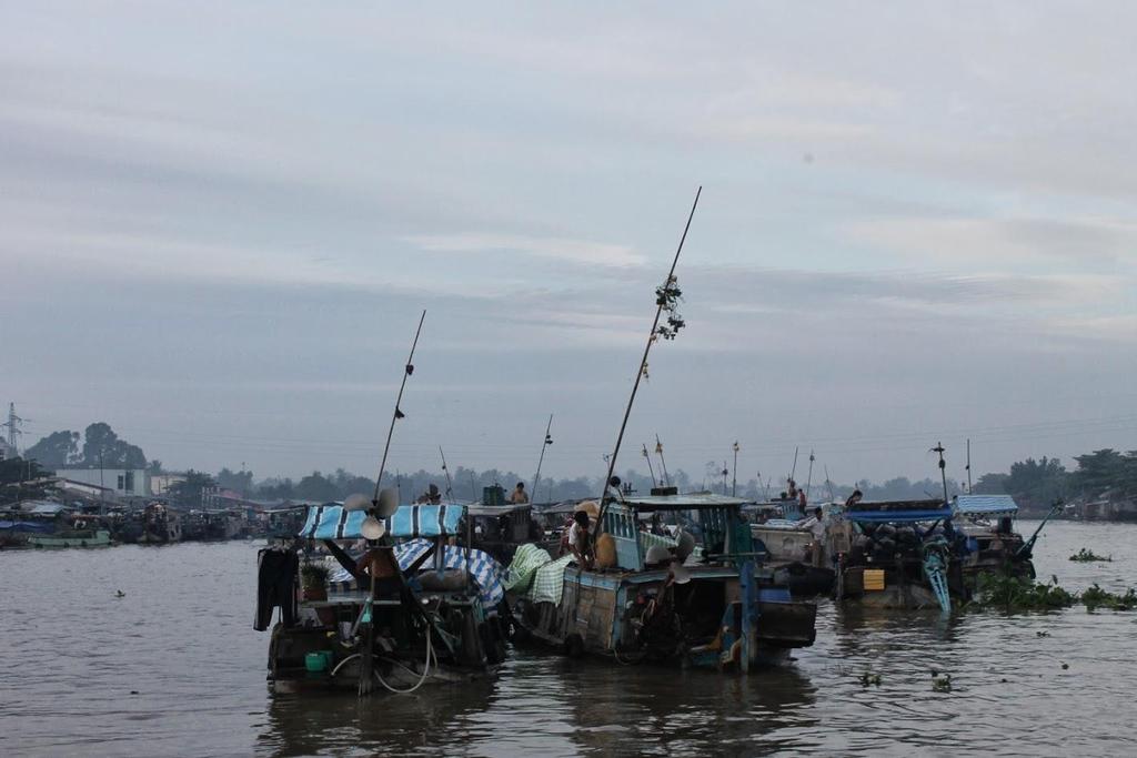 Mekong Deltaplan Nederlandse en Vietnamese partijen werken samen aan een plan voor de delta.