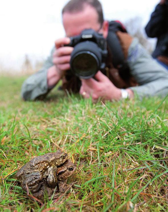 Voorbereiding op de workshop natuurfotografie Bij het geven van de natuurfotoworkshops merken we dat er veel vragen zijn over de bediening van de camera en wat diafragma- of sluitertijd voorkeurstand