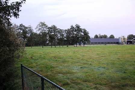 Deze typering gaat echter maar gedeeltelijk op omdat de kippenschuur recent gebouwd is; veel later dan de boerderij welke aan de weg staat.