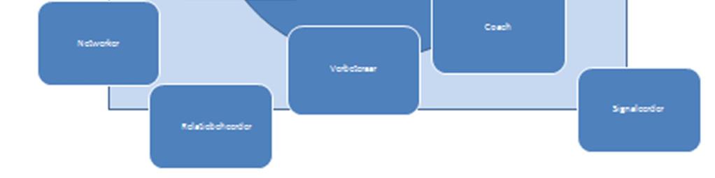 richtinggever, stuurder, signaleerder, analist en contractant. Deze rollen kunnen tijdelijk worden ingevuld door de medewerker.