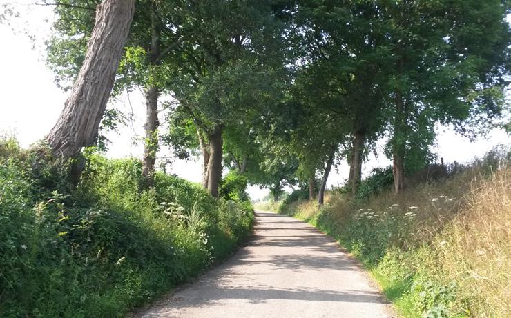 Het groene karakter Aan de Tienbaan, deels een holle weg, bevindt zich de bedrijfslocatie van Grooten. De locatie wordt ter hoogte van de holle weg begrensd door groen.