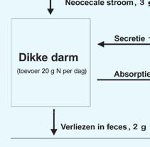 De hoge kwaliteit van zuiveleiwit vergeleken met eiwit uit andere producten zoals soja, zal worden erkend zodra