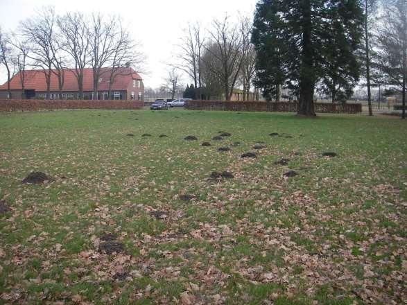 Archeologische onderzoek Tongerloseweg ong., Diessen, Gemeente Hilvarenbeek.