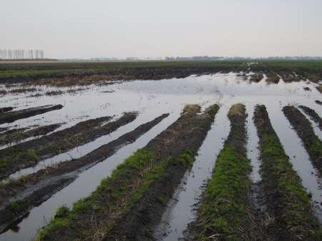Niet-duurzaam bodembeheer in Nederland Overbemesting Verdichting