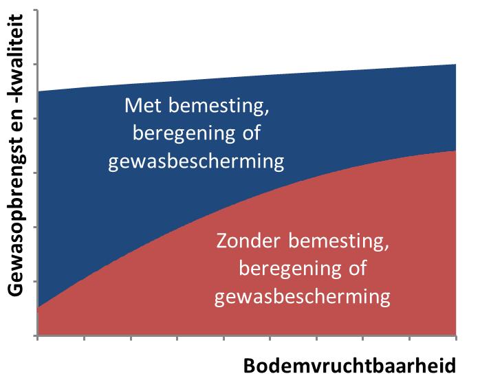 Bodemvruchtbaarheid is