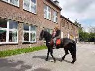 De kinderen mochten hun dieren van thuis meebrengen naar de klas voor een leerrijk bezoekje.