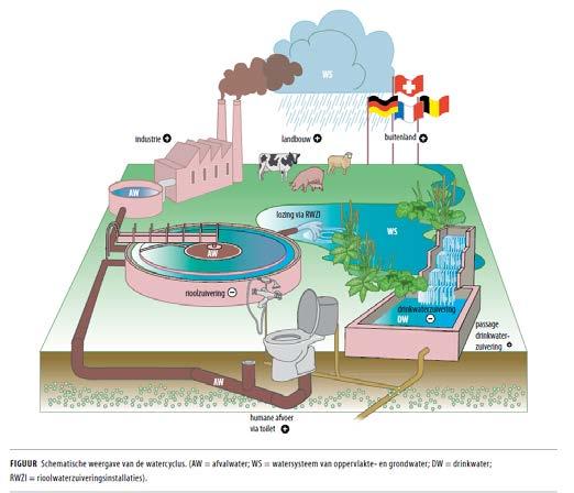 3.2.2 Geneesmiddelen in de Nederlandse wateren De cyclus en de belangrijkste bronnen van geneesmiddelen in de Nederlandse wateren kunnen als volgt worden verbeeld (J.P. van de Hoek et. Al., 2013).