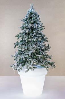 Enlightened x-mas indoor/outdoor Vases In dit aanbod bieden wij kerstbomen aan die geplaatst worden in een verlichte witte pot, bruikbaar voor binnen of buiten, telkens voorzien van aangepaste