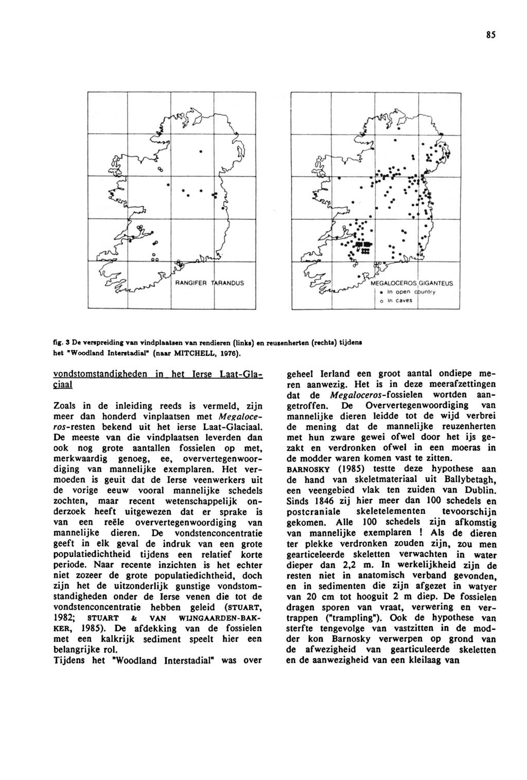 85 fig. 3 De verspreiding van vindplaatsenvan rendieren (links) enreusenherten (rechts) tijdens het Woodland Interstadial (naar MITCHELL, 1976).