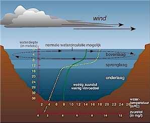 - 34 - Bijlage 2 Stratificatie Hoe ontstaat stratificatie?