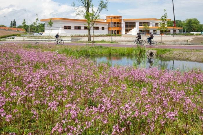 Inhoud Voorstellen Marcel Wenker senior adviseur groen Gemeente Deventer Marc Siepman