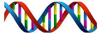 Vooronderzoek (3) DNA onderneming Analyse onderneming: Jaarrekeningen