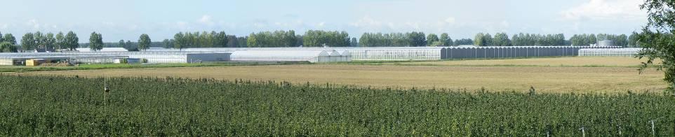 Voor de uitstraling van het kassengebied is het niet alleen belangrijk dat de randen landschappelijk ingepast worden, maar is een zekere geleding (opdeling) in het kassengebied noodzakelijk.