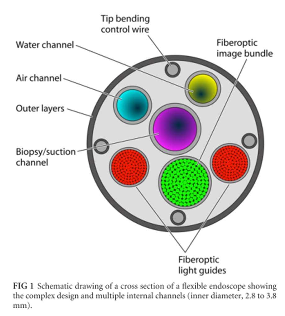 Biofilm-risico bij endoscopen