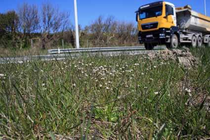 5 Natuur, landschap, bos en groen In uitvoering van de eerste milieuconvenant maakten de meeste gemeenten een gemeentelijke natuurontwikkelingsplan (GNOP).