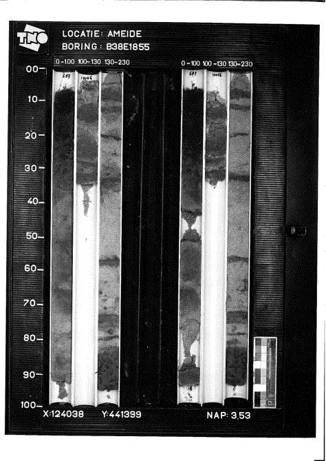 . Recente sedimentatiegeschiedenis, geomorfologie en goed ontwikkelde stroomdalgraslanden