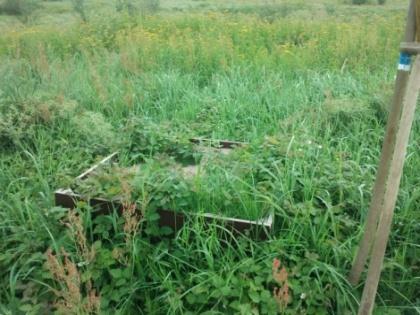 Midden: Akkerdistel waarschijnlijk op het zand gekiemd. Rechts: bekisting overwoekerd met Dauwbraam, zowel door de zandlaag heengegroeid als van buitenaf de bak ingegroeid.