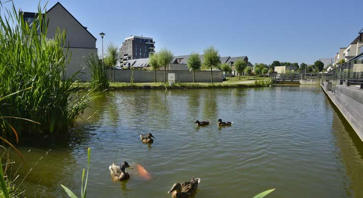 Ekkelgarden Residentie De Winning ligt in het Ekkelgarden-woonpark, een vrij nieuwe en rustige woonbuurt met een speels karakter dankzij