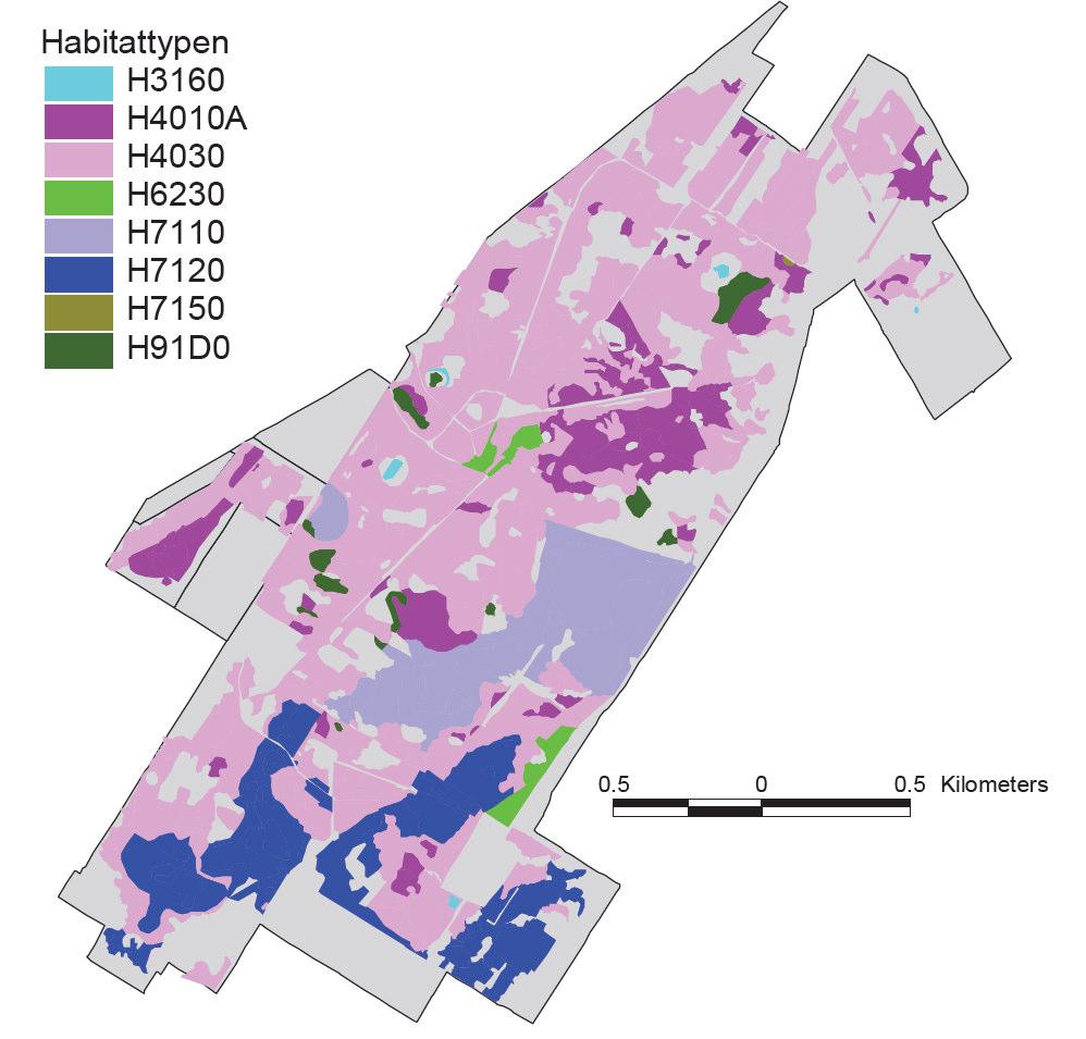 Literatuur Kaart 2: Witterveld Bron: Hessel, R., J. Kros & J.C.H. voogd, 2010. Stikstof depositie op Habitattypen binnen Drentse Natura 2000- gebieden. Alterra, Wageningen.