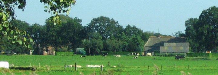 INTRODUCTIE Daarle ligt in de gemeente Hellendoorn, op de grens tussen Salland en Twente. Het dorp kent een lange historie. Al in 933 wordt Daarle genoemd.