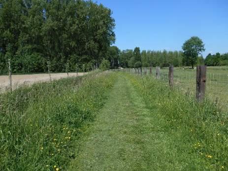 Maatregelen uit landschapsplan Landschap/natuur: 51 km extra bomenrijen, houtkanten of