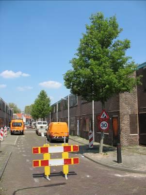 7 Sint Janstraat 7.1 OPGENOMEN BOMEN In de volgende tabel zijn de gegevens van de opgenomen bomen in de verharding van de Sint Janstraat samengevat.