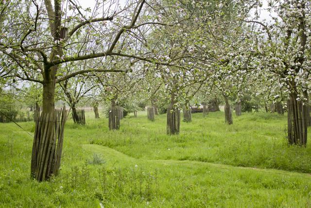 Voor de beeldvorming zijn hiervoor onderstaande referentie beelden opgenomen. Ter plaatse van het tuinhuis/paviljoen wordt een lindeboom aangeplant.