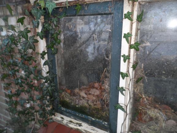 Foto 2: Asbestvrije stopverf in houten ramen in buitengevels van boerderij.