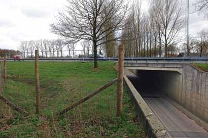 Ten oosten van Doetinchem, naast de tunnelbak gelegen aan de Kloosterlaan, worden de dassen