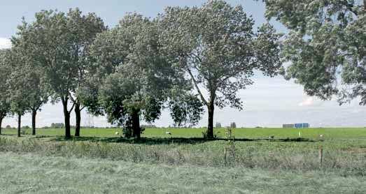 Rijksweg A12 start in Den Haag en doorkruist richting Duitsland steden, veenweidepolders, bossen en gebieden in transformatie.