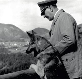 De Duitsers beschouwden honden als bijna even intelligent als mensen en probeerden hen te leren spreken, lezen en spellen. Er werden zelfs experimenten met telepathie (van man naar hond) uitgevoerd.